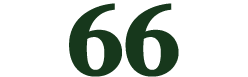 66
