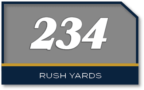 234,rush yard