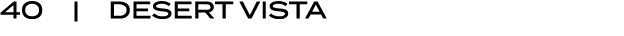 40 | desert vista