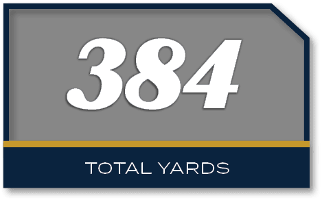 384,total yard