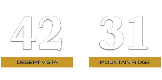 31,42,MOUNTAIN RIDGE,desert vista