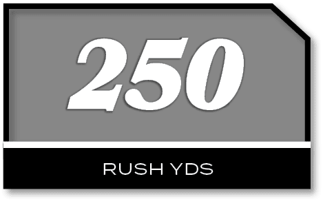 250,rush YD