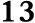 13
