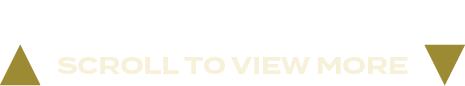 scroll to view mor