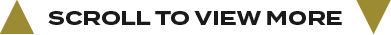 scroll to view mor