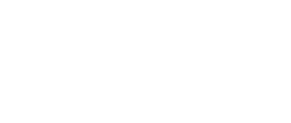 ADRIAN TELAS CONTENT LIASON ASHLEY DODSON FUNDRASING LIAISON FRANK MARTINEZ HEAD COACH 