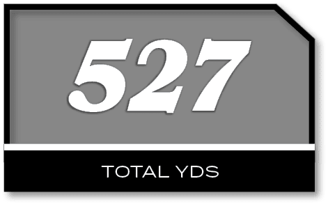 527,TOTAL YD