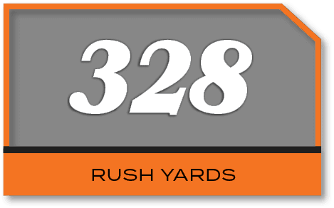 328,rush yard