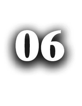 06