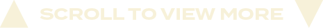 scroll to view mor