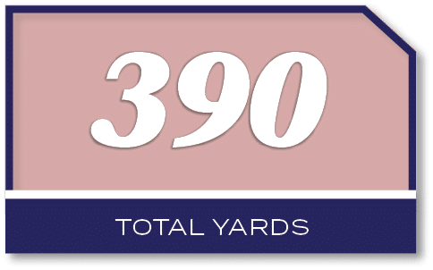 390,total yard