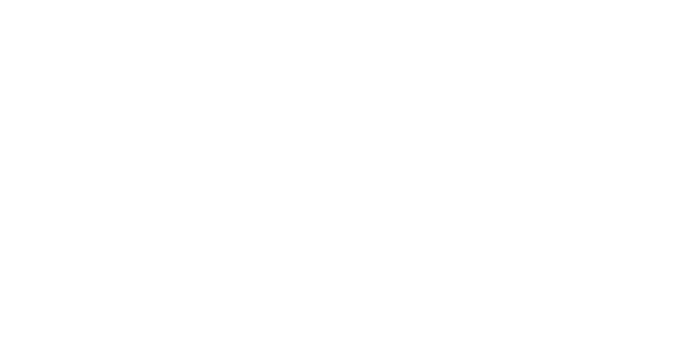 Johnny Casey jr.