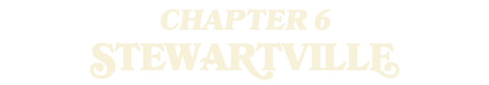 CHAPTER 6 STEWARTVILLE