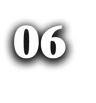 06