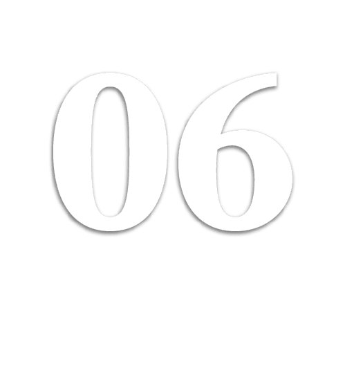 06