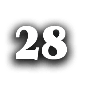 28