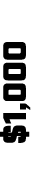 $1,000