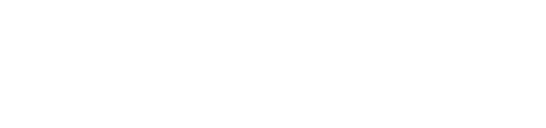 TEAM HIGHLIGHTS