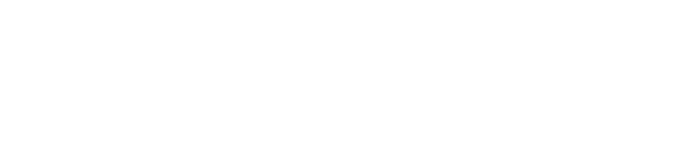 TEAM HIGHLIGHTS