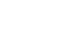 SNhs GOLDEN RAIDERS
