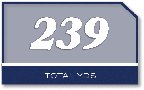 239,total yd