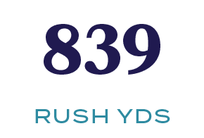RUSH YDS,83