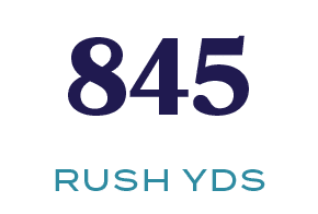 RUSH YDS,84