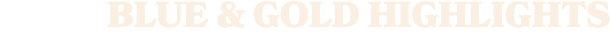 BLUE & GOLD HIGHLIGHTS