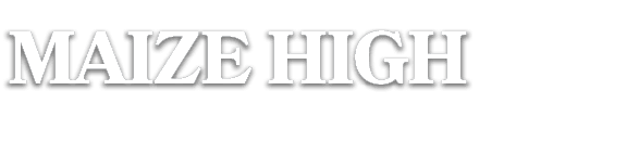 MAIZE HIGH
