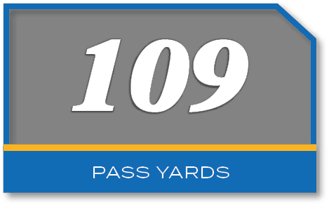 109,PASS YARD