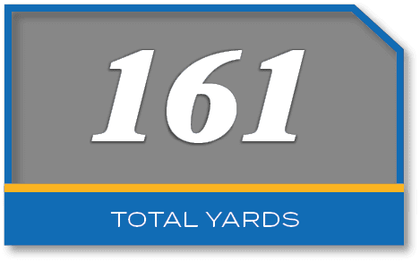 161,total yard