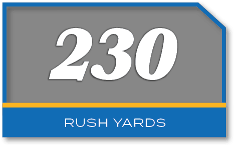 230,rush yard