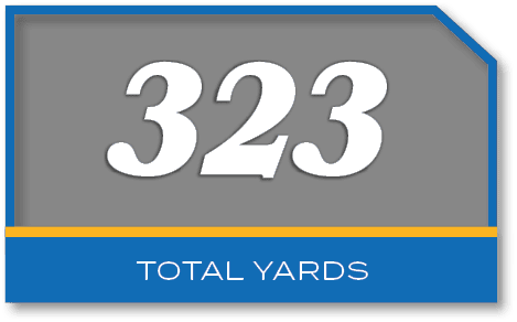 323,total yard