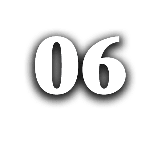 06