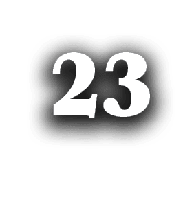23
