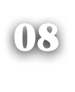 08