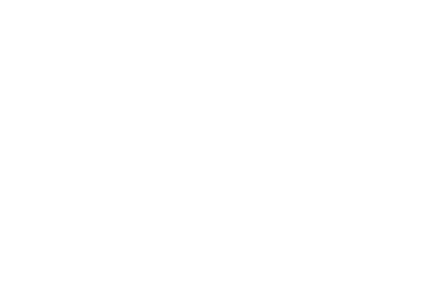 NIC SNOWDEN HEAD COACH JAKE GUNTER Co OfF. Coordinator & Content Liason DENNIS EDWARDS AsST. Head Coach & Co OfF. Coo...