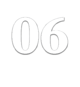 06
