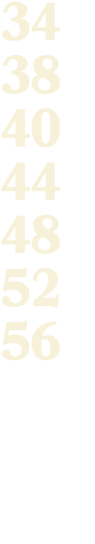 34 38 40 44 48 52 56 