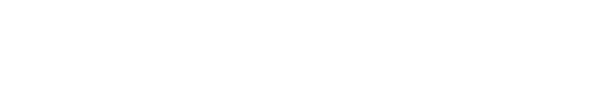 MARQUETTES Service OFFICERS
