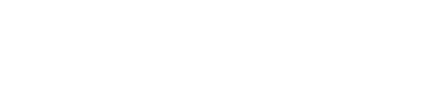 VARSITY cheer team