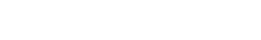 MARQUETTES SERVICE OFFICERS