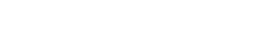 VARSITY cheer team