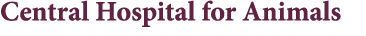 Central Hospital for Animals