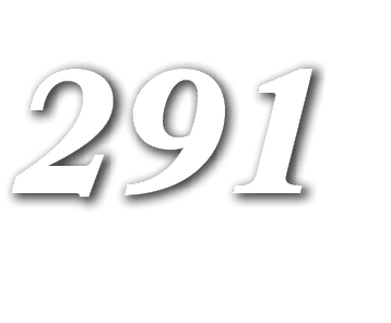 291
