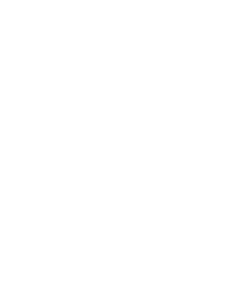 Suzie Flock 1st Lieutenant Varsity Bailadora “I can do all things through Christ who strengthens me.” Philippians 4:1...