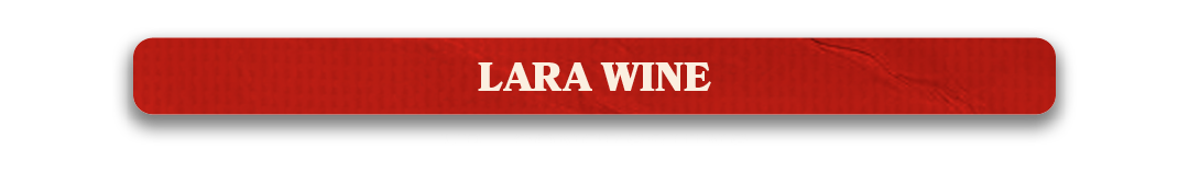 VP Concession