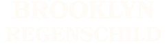 brooklyn regenschild