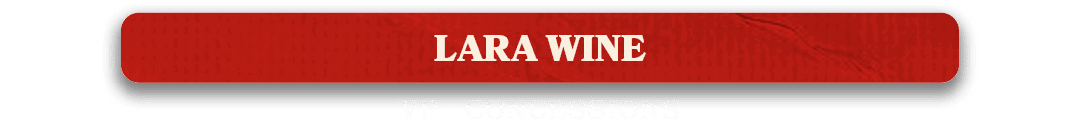 VP Concession