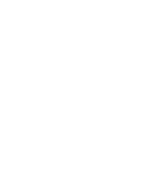 Suzie Flock 1st Lieutenant Varsity Bailadora “I can do all things through Christ who strengthens me.” Philippians 4:1...